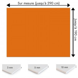 Plaque PVC orange citrouille sur mesure - Signalétique, affichage et décoration