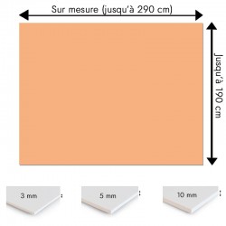 Plaque PVC orange pêche sur mesure - Signalétique, affichage et décoration