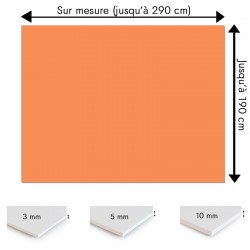 Plaque PVC orange saumon sur mesure - Signalétique, affichage et décoration